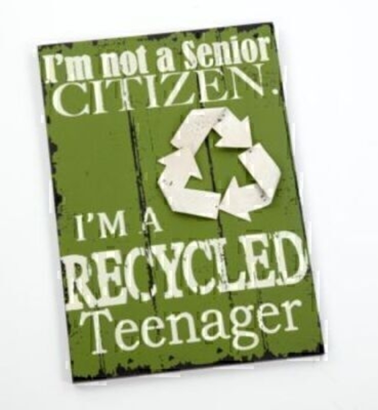 Wooden saying sign with caption 'I'm not a Senior Citizen I'm a Recycled Teenager'. Size 34x24x1cm